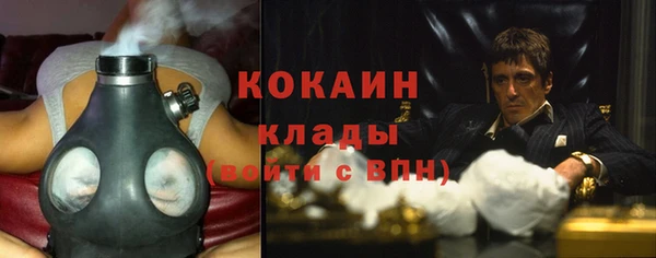 прущие крисы Гусев