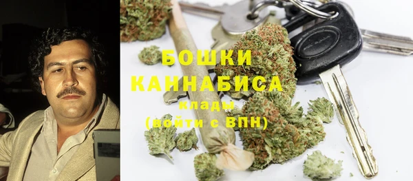 прущие крисы Гусев