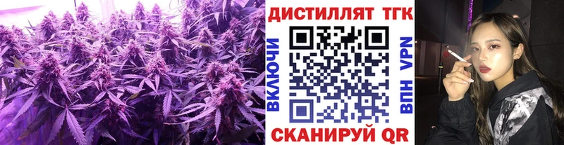 Дистиллят ТГК жижа  Купить закладки  Карачаевск 