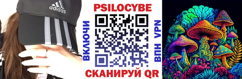 Купить  Карачаевск  Псилоцибиновые грибы мицелий 