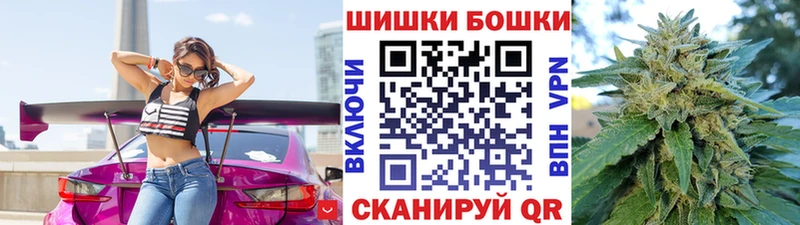 Купить где  Карачаевск  Конопля индика 